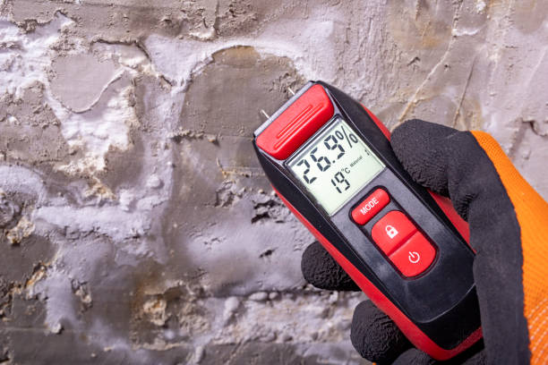 Best Post-Flood Mold Remediation in Flanders, NY